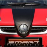 Front end grille F1 McLaren for Smart Fortwo 451 in look carbon